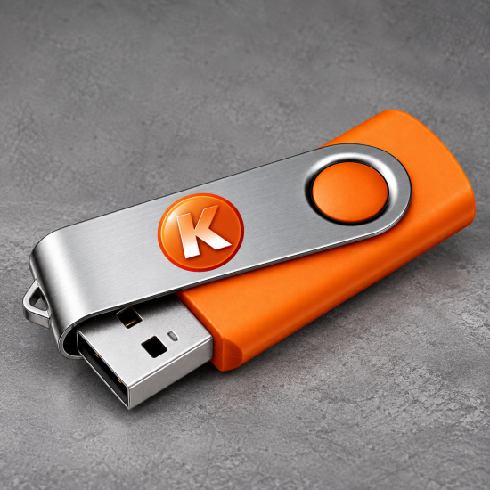 USB Stick 8 Gb